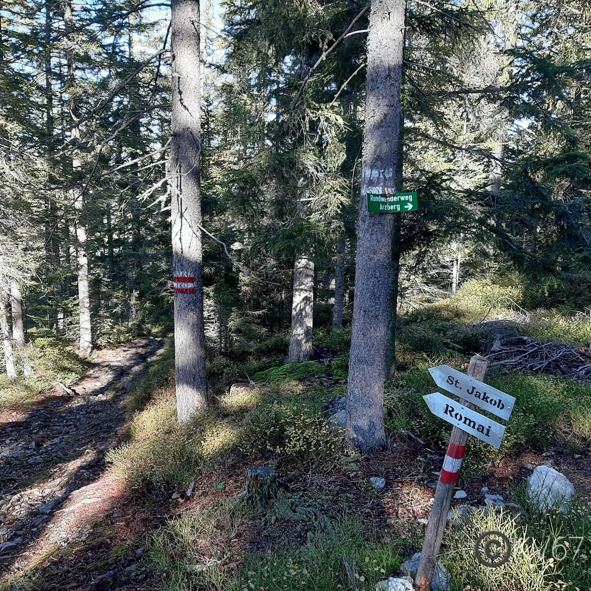 Jogilation Apartman Sankt Jakob im Walde Kültér fotó